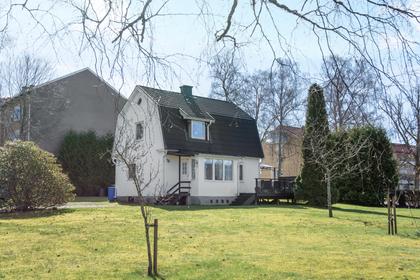 Bild av trädgården