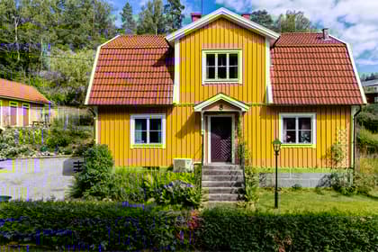 Bild av trädgården