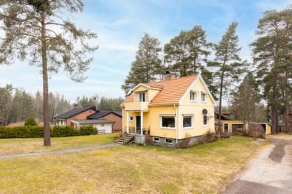 Bild av trädgården