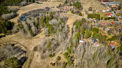 Bild av trädgården