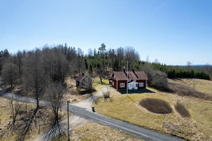 Bild av trädgården