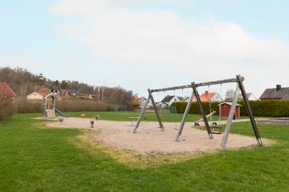 Bild av trädgården