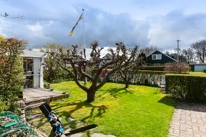 Bild av trädgården