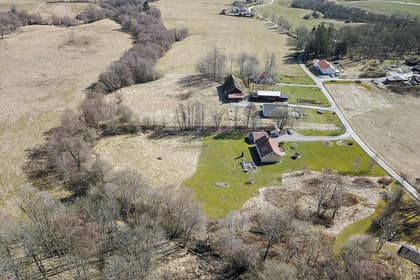 Bild av trädgården