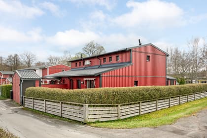 Bild av trädgården