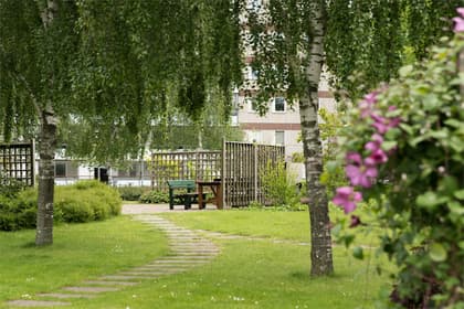 Bild av trädgården