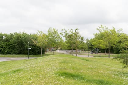 Bild av trädgården