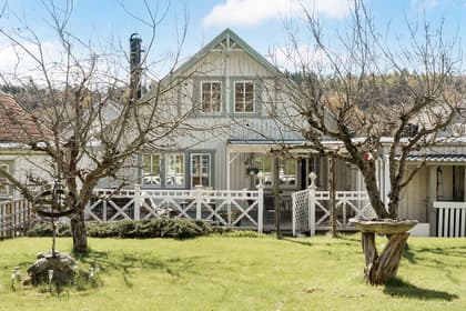 Bild av trädgården