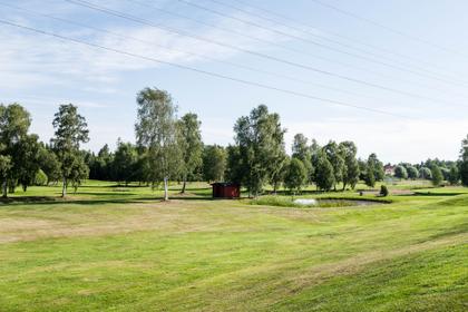 Bild av trädgården