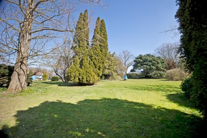 Bild av trädgården