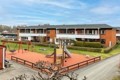 Bild av trädgården