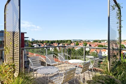 Bild av trädgården