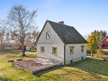 Bild av trädgården