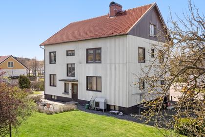 Bild av trädgården