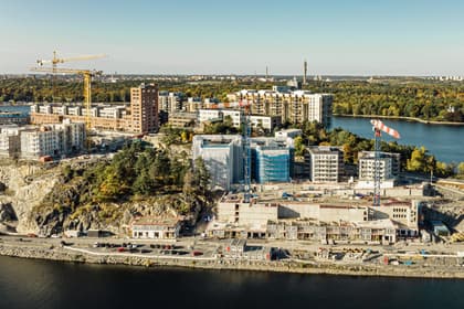 Bild av trädgården