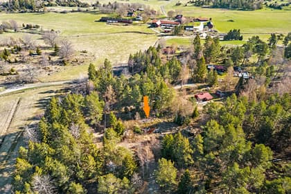 Bild av trädgården