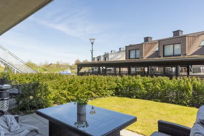 Bild av trädgården