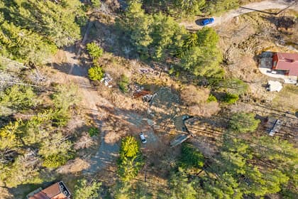 Bild av trädgården