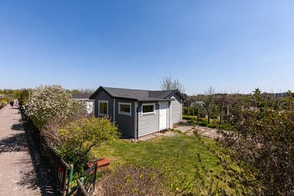 Bild av trädgården