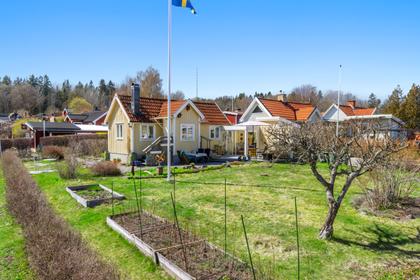 Bild av trädgården