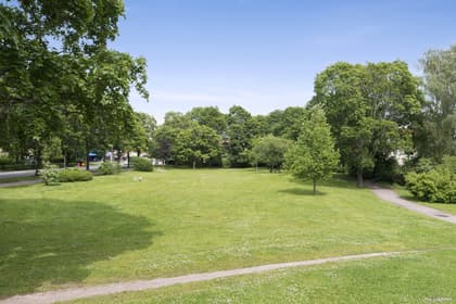 Bild av trädgården