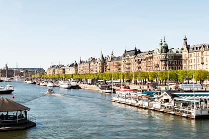 Bild av trädgården