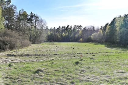 Bild av trädgården