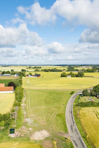 Bild av trädgården