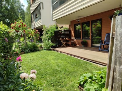 Bild av trädgården