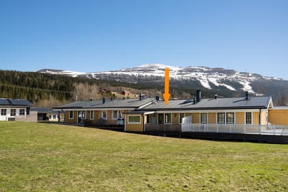 Bild av trädgården