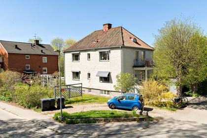 Bild av trädgården