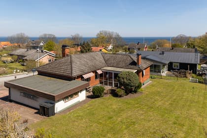 Bild av trädgården