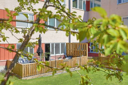 Bild av trädgården