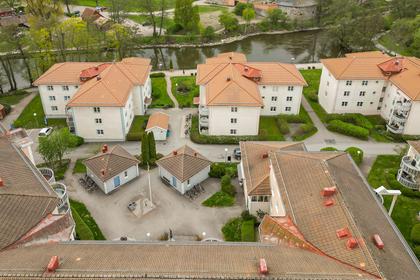 Bild av trädgården