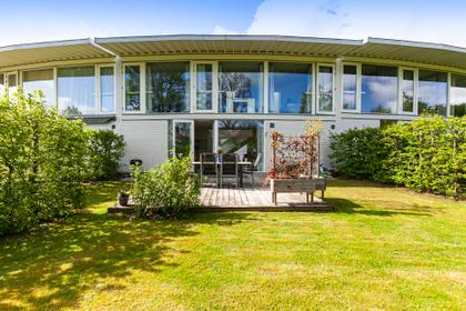 Bild av trädgården