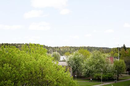 Utsiktsbild