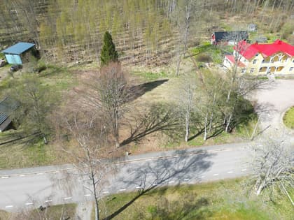 Bild av trädgården