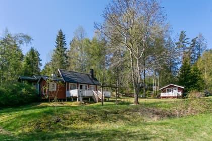 Bild av trädgården