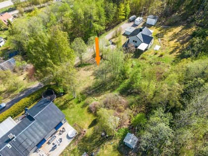 Bild av trädgården