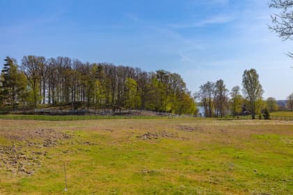 Bild av trädgården