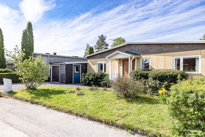 Bild av trädgården