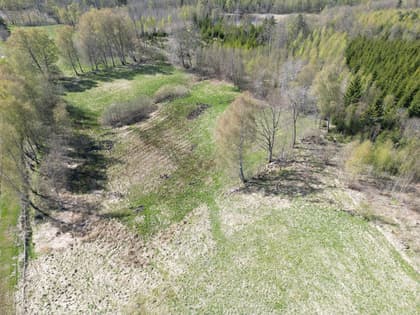 Bild av trädgården