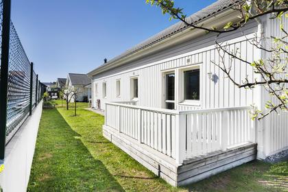 Bild av trädgården