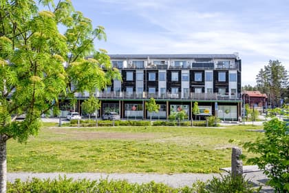 Bild av trädgården