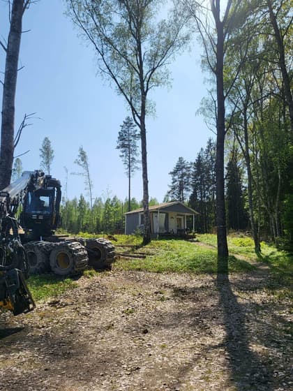 Bild av trädgården