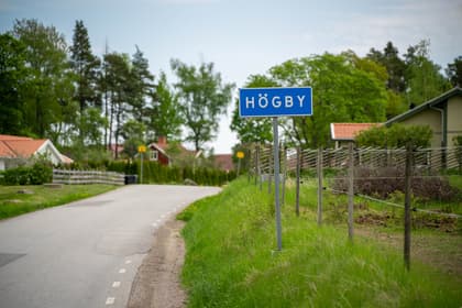 Bild av trädgården