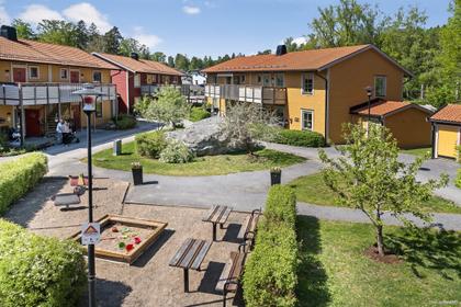 Bild av trädgården