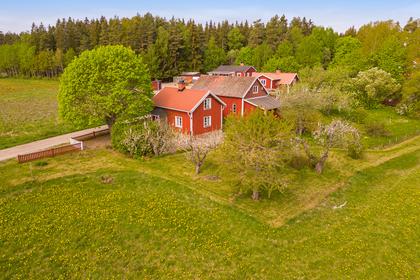 Bild av trädgården