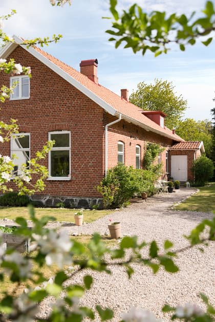 Bild av trädgården