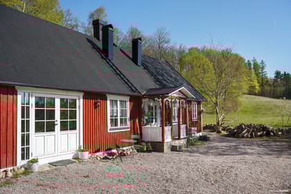 Bild av trädgården